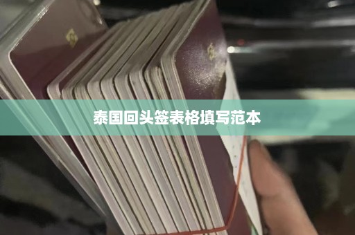 泰国回头签表格填写范本  第1张