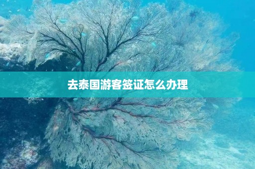 去泰国游客签证怎么办理