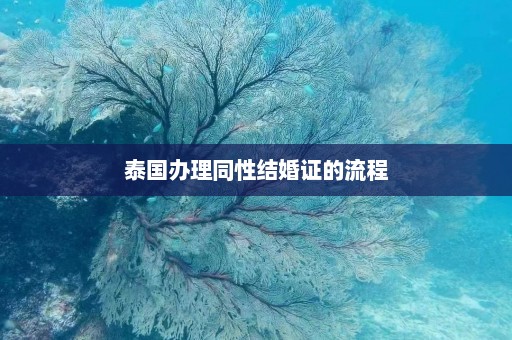 泰国办理同性结婚证的流程