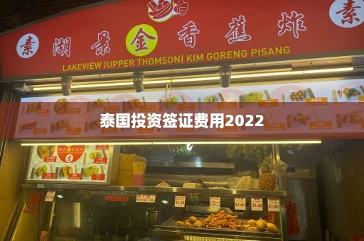 泰国投资签证费用2022