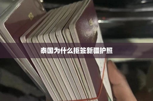 泰国为什么拒签新疆护照  第1张