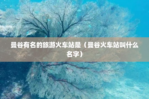 曼谷有名的旅游火车站是（曼谷火车站叫什么名字）