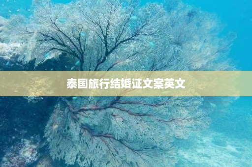 泰国旅行结婚证文案英文