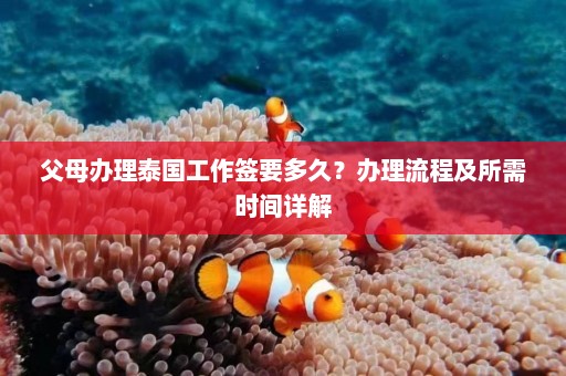 父母办理泰国工作签要多久？办理流程及所需时间详解