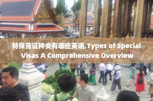 特殊签证种类有哪些英语,Types of Special Visas A Comprehensive Overview  第1张