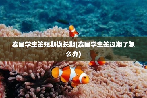 泰国学生签短期换长期(泰国学生签过期了怎么办)