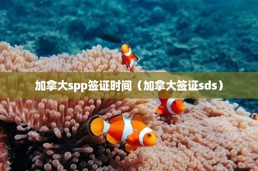 加拿大spp签证时间（加拿大签证sds）