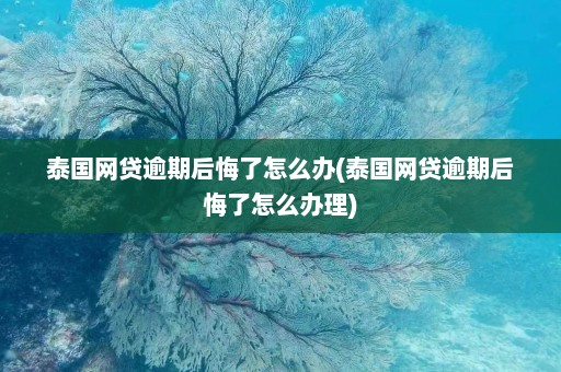 泰国网贷逾期后悔了怎么办(泰国网贷逾期后悔了怎么办理)