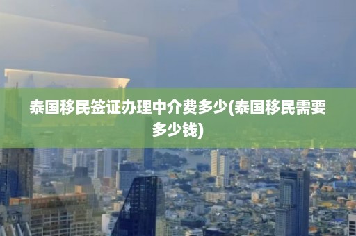 泰国移民签证办理中介费多少(泰国移民需要多少钱)  第1张