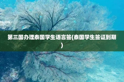 第三国办理泰国学生语言签(泰国学生签证到期)