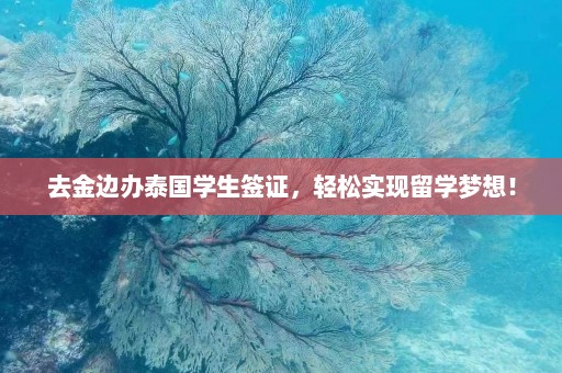 去金边办泰国学生签证，轻松实现留学梦想！