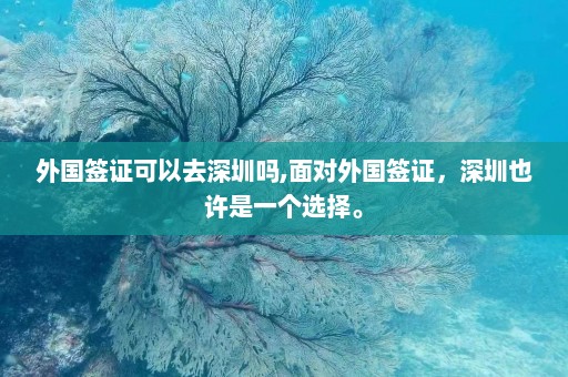 外国签证可以去深圳吗,面对外国签证，深圳也许是一个选择。