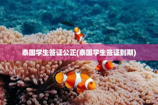 泰国学生签证公正(泰国学生签证到期)