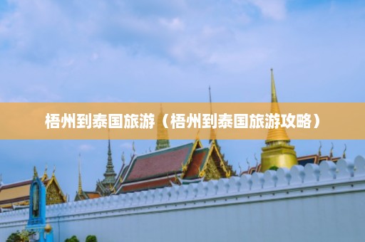 梧州到泰国旅游（梧州到泰国旅游攻略）