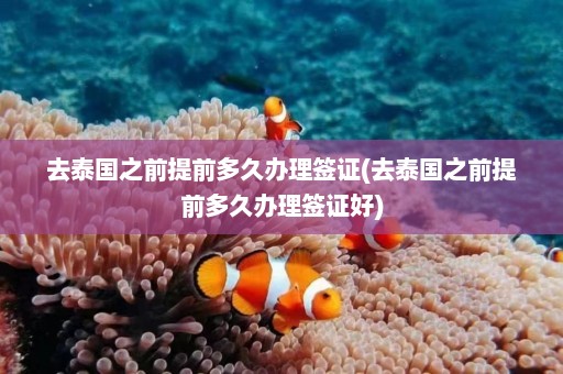 去泰国之前提前多久办理签证(去泰国之前提前多久办理签证好)