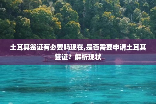 土耳其签证有必要吗现在,是否需要申请土耳其签证？解析现状