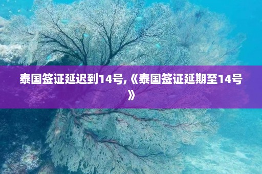 泰国签证延迟到14号,《泰国签证延期至14号》