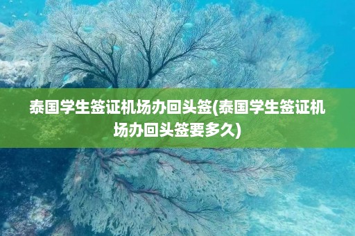 泰国学生签证机场办回头签(泰国学生签证机场办回头签要多久)