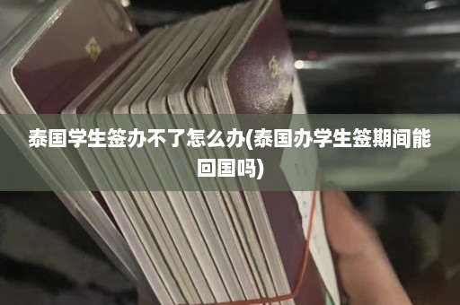 泰国学生签办不了怎么办(泰国办学生签期间能回国吗)  第1张