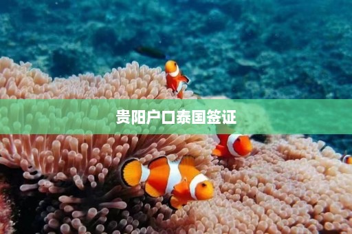 贵阳户口泰国签证