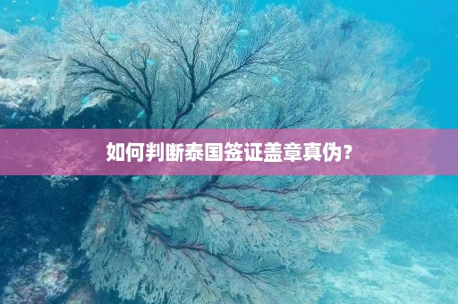 如何判断泰国签证盖章真伪？