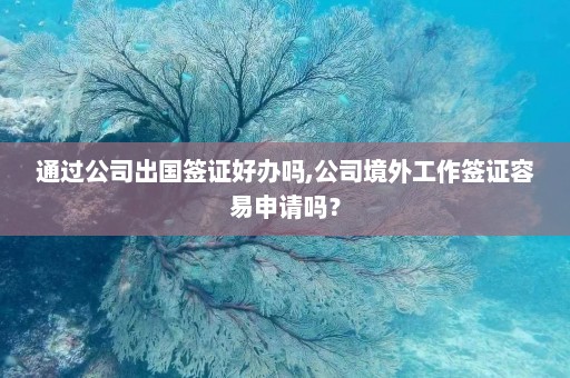 通过公司出国签证好办吗,公司境外工作签证容易申请吗？