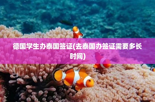 德国学生办泰国签证(去泰国办签证需要多长时间)