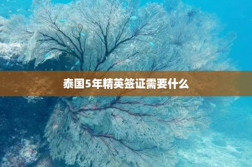 泰国5年精英签证需要什么