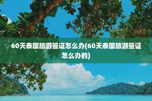 60天泰国旅游签证怎么办(60天泰国旅游签证怎么办的)