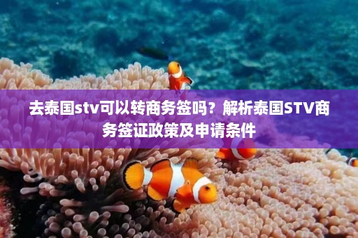 去泰国stv可以转商务签吗？解析泰国STV商务签证政策及申请条件