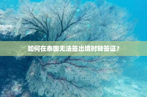 如何在泰国无法签出境时转签证？