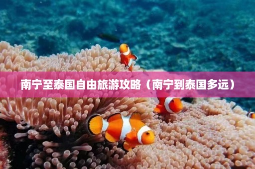 南宁至泰国自由旅游攻略（南宁到泰国多远）