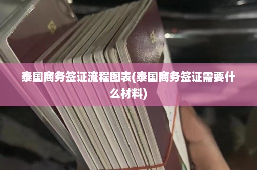 泰国商务签证流程图表(泰国商务签证需要什么材料)  第1张