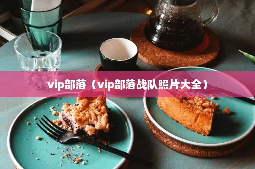 vip部落（vip部落战队照片大全）