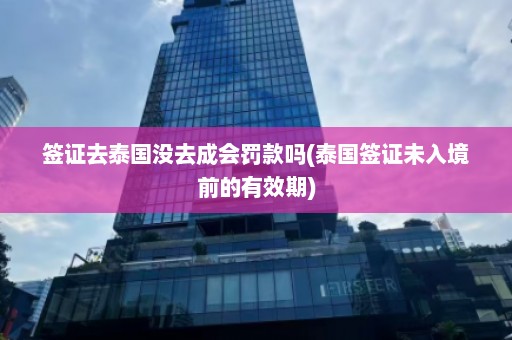 签证去泰国没去成会罚款吗(泰国签证未入境前的有效期)