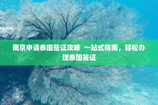 南京申请泰国签证攻略  一站式指南，轻松办理泰国签证