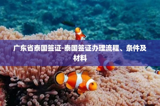 广东省泰国签证-泰国签证办理流程、条件及材料