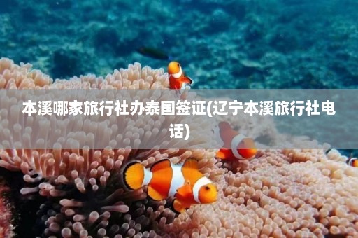 本溪哪家旅行社办泰国签证(辽宁本溪旅行社电话)