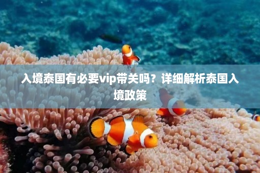 入境泰国有必要vip带关吗？详细解析泰国入境政策