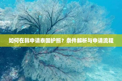 如何在韩申请泰国护照？条件解析与申请流程