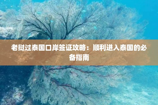 老挝过泰国口岸签证攻略：顺利进入泰国的必备指南