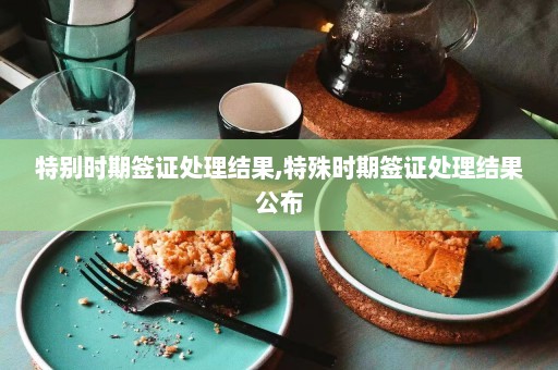 特别时期签证处理结果,特殊时期签证处理结果公布