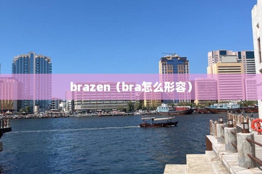 brazen（bra怎么形容）  第1张