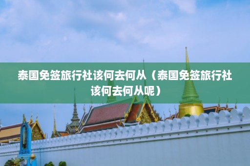 泰国免签旅行社该何去何从（泰国免签旅行社该何去何从呢）  第1张