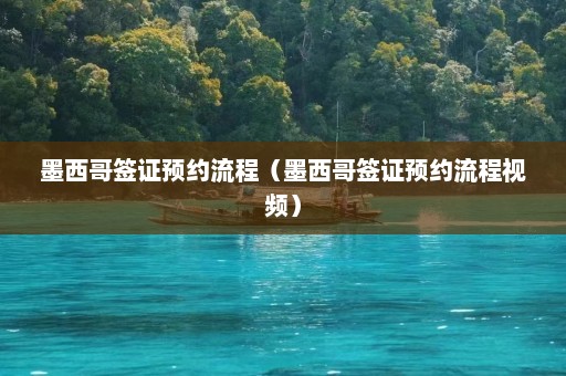 墨西哥签证预约流程（墨西哥签证预约流程视频）