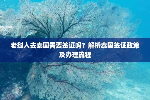 老挝人去泰国需要签证吗？解析泰国签证政策及办理流程