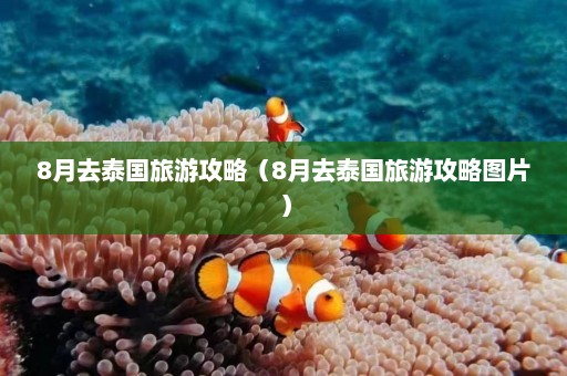 8月去泰国旅游攻略（8月去泰国旅游攻略图片）