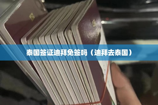 泰国签证迪拜免签吗（迪拜去泰国）  第1张