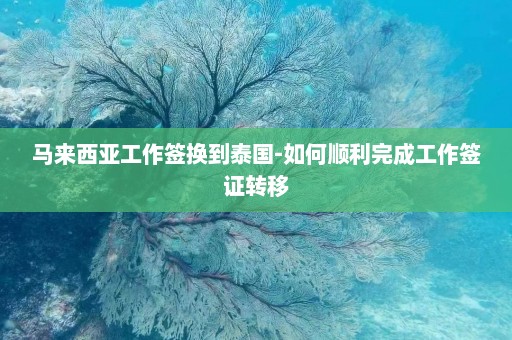 马来西亚工作签换到泰国-如何顺利完成工作签证转移