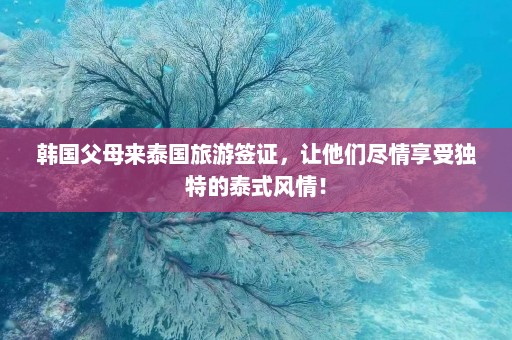 韩国父母来泰国旅游签证，让他们尽情享受独特的泰式风情！